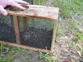 Bees for beginners part 3 Bees for beginners part 3