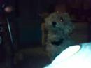 kiba habla kiba habla