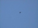 stan practicing inverted hovering with his trex 450