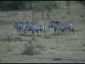 Africa - Uganda, Kenia, Tanzania, Zanzibar