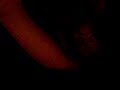 Putakumeak - Orreaga 778