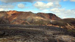 Scenes From Niceland