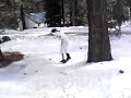 Snowskateboard Snowskateboard