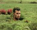Garden invasion - Headlines