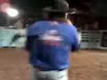 tel tesão e touro terorista