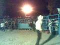 jaripeo en honor a la Cotorrita de Rojas de Cuahutemoc