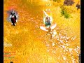 Level 70 Schurke PvP (Schurken PvP 5) (World of Warcraft)