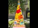 Sann.wmv