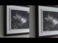 hv20 vs minoHD Daylight