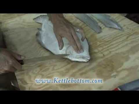 how to bleed flounder