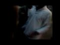 VIDEO 0991