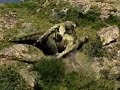 Walking with Dinosaurs - Hunt Walking with Dinosaurs - Hunt