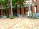 footloose lifexskateboarding.6