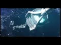 EJF Specter Teaser EJF Specter Teaser