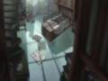 full metal alchemist 2nd opening- ready stady go