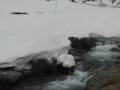 Arcalís Vallnord Andorra Andorre 01 juny 2008
