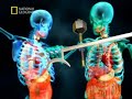 kungfu weapons (4/5) kungfu weapons (4/5)