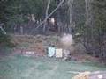 Firing THE DEADLY Howitzer