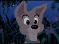 scamp and angel (bella notte)