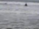 Surfing Bundoran
