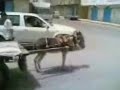 You need a heavier Donkey!