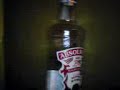 ABSOLWENT ABSOLWENT