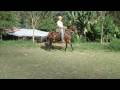 videos de Hija de Faraon en Mama Duelo