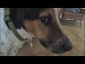 LIVE VIDEO: Los Angeles Earthquake July 29 2008 (Chino Hills / Diamond Bar)