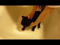 YouTubeサムネイル[J1R0vjCKywY] - 1枚目