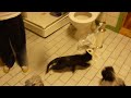 YouTubeサムネイル[J1R0vjCKywY] - 3枚目