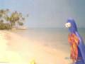 Stop Motion Video Made by Children with iKITMovie