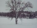 wheelies on the 2001 Polaris Xc500Sp #2