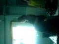 Luizi apresentando..close no peitao :D