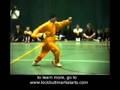 Shaolin Power.wmv