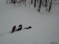 Cavaliers navagate snow storm of the century in Virginia