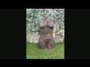 Impressie Torso\