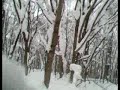 taylor.veltrop.com Niigata, Japan: Off-piste and in the trees at Ikenotaira resort of Myoko Kogen. Too bad about the quality - it was taken from an old cell-phone. After returning to the run I do a couple of 360s.