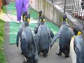 NOBORIBETSU,PENGUIN
