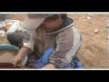 SPANISH BULLFIGHTERS - 2/2