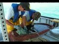 Michigan DNR Sturgeon Tagging