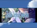 Hobroukova leteck� ?kola