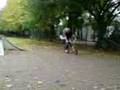 bmx in mg 7