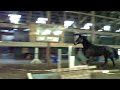 CLIP0010.AVI