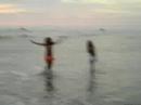freee freee