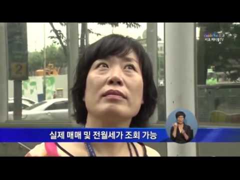 TV속의 서초(13.8.5-8.11)