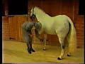 Carriage Driving - Basic Driving 1 Carriage Driving - Basic Driving 1