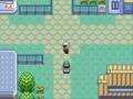 videos de Slakoth Onlu Run: Lilycove City