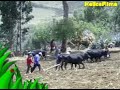 ANDAHUAYLAS-TALAVERA (PISCHU-PUMACURI)