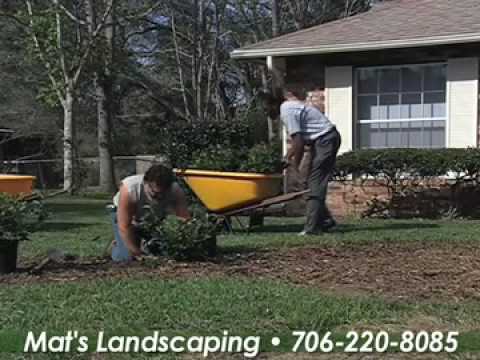 how to fertilize floratam grass