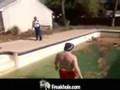 reno 911 croc attack